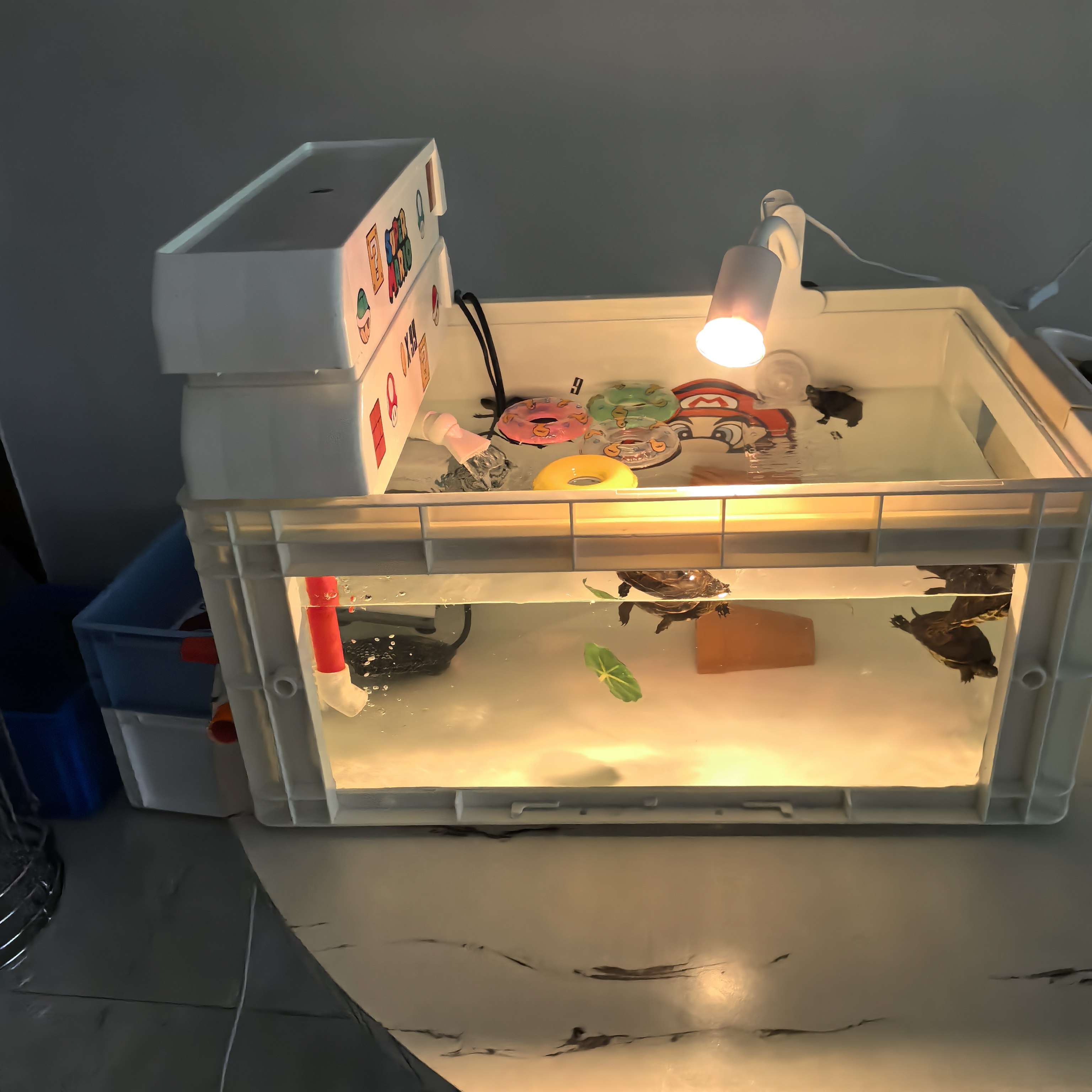 新款升级可视周透明转箱龟缸家用客厅阳台养乌龟的容器,淘宝优惠券,粉丝福利购,淘宝优惠卷