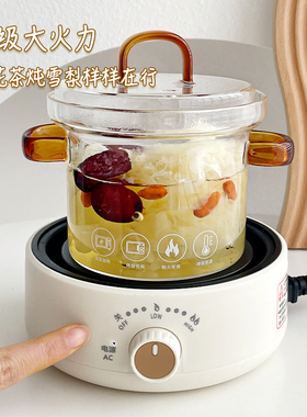 小型养生电炖杯套装玻璃煮茶壶
