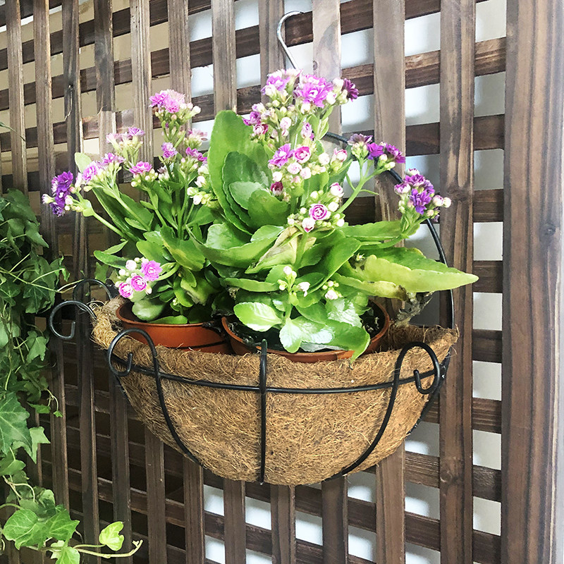 椰棕花篮铁艺壁挂花架半壁式吊篮挂墙上椰棕垫鸟窝海草蓝种植花盆,淘宝优惠券,粉丝福利购,淘宝优惠卷