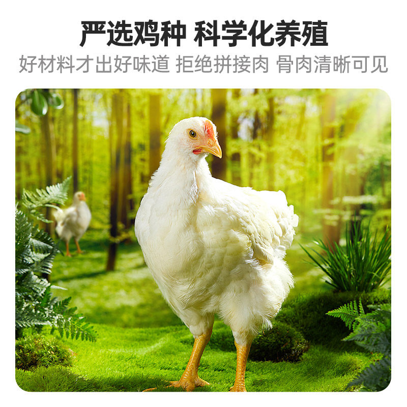 乡盛熏鸡德州老字号山东特产扒鸡整只烧鸡卤味熟食低温短保年货,淘宝优惠券,粉丝福利购,淘宝优惠卷