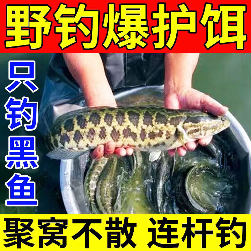 专钓黑鱼专用饵料鱼饵饲料打野钓水库诱食剂浓腥野河湖泊钓鱼小药-图2