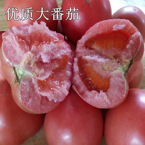 草莓番茄苗大小水果西红柿苗子黄小番茄四季阳台盆栽蔬菜苗 - 图2