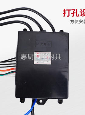 万友蒸汽机脉冲点火器锅炉电磁阀