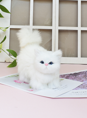 仿真猫咪儿童毛绒拍摄道具摆件