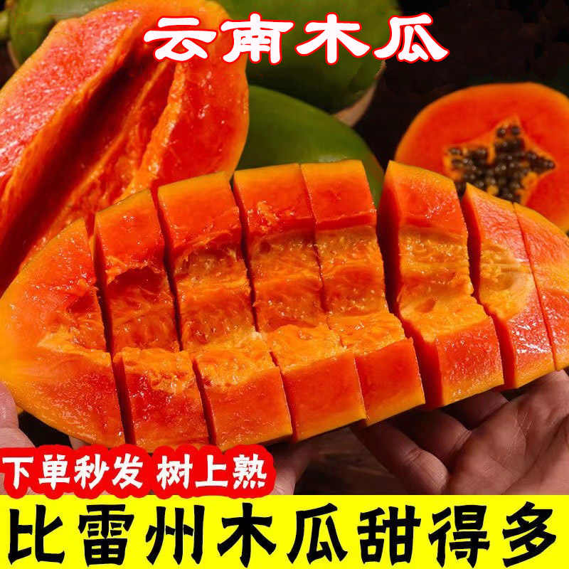 木瓜苗 新人首单立减十元 22年7月 淘宝海外