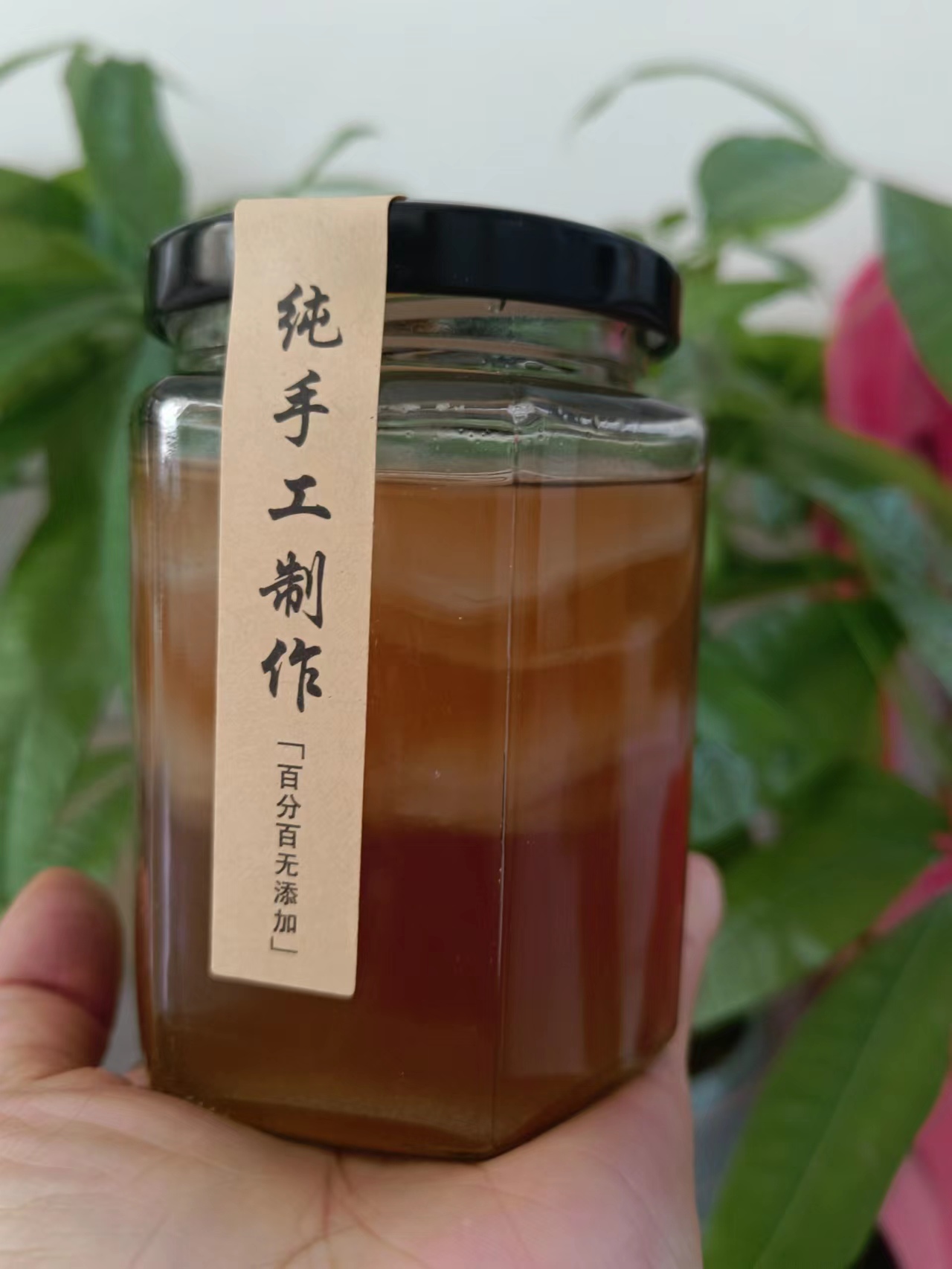 特价正宗红茶菌菌种老胃宝养胃护胃海宝菌母菌种醋蛾子售完下架-图3