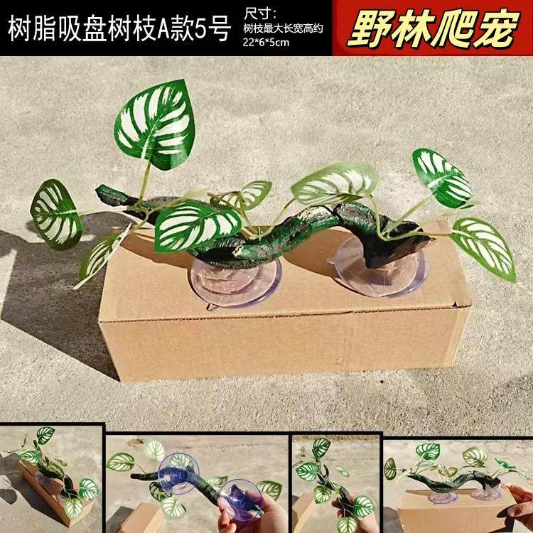爬宠藤蔓带吸盘造景植物睫角守宫变色龙雨林玻璃缸缸攀爬树藤躲避,淘宝优惠券,粉丝福利购,淘宝优惠卷