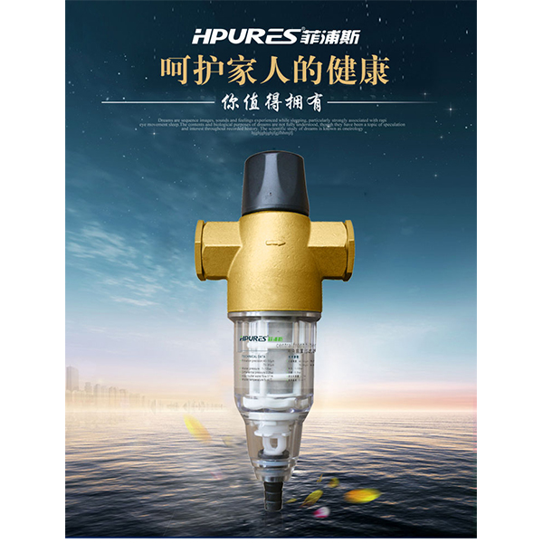 原装正品 德国HPURES菲浦斯净水器 前置过滤 HP-Q001 - 图2