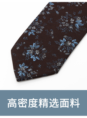 Jacketman棕色蓝色花朵领带