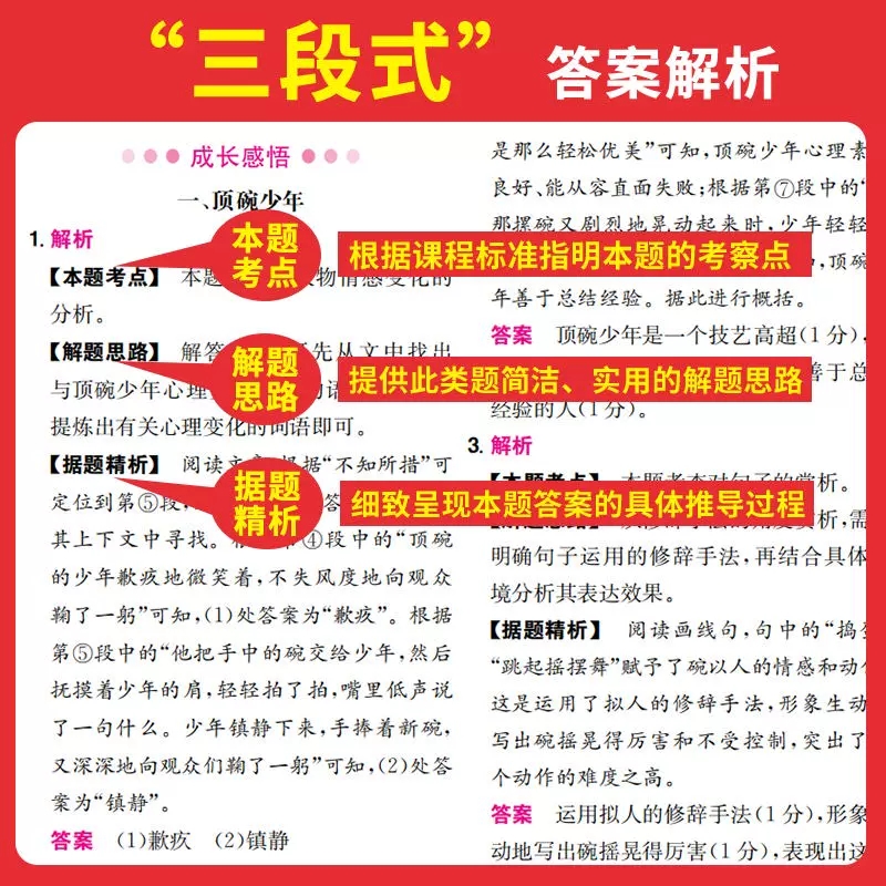 2025一本中考现代文阅读技能训练100篇初三九年级记叙文说明文议论文名著阅读真题训练初中语文阅读理解专项训练答题技巧-图0