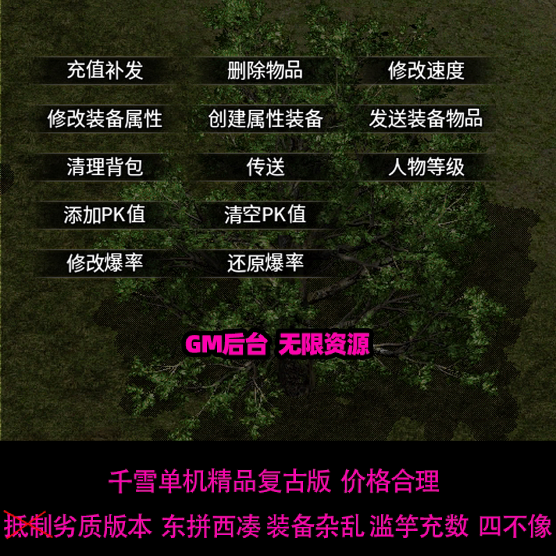 传奇sf原味传奇单机版【小白启动】九职业996手游无限元宝金币物品装备