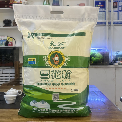 河套面粉大公雪花粉10kg家用高筋面粉小麦粉饺子面条包子馒头面粉 - 图0