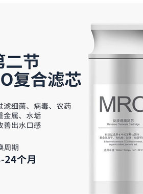 德国BWT倍世乐纯滤芯台面净饮机