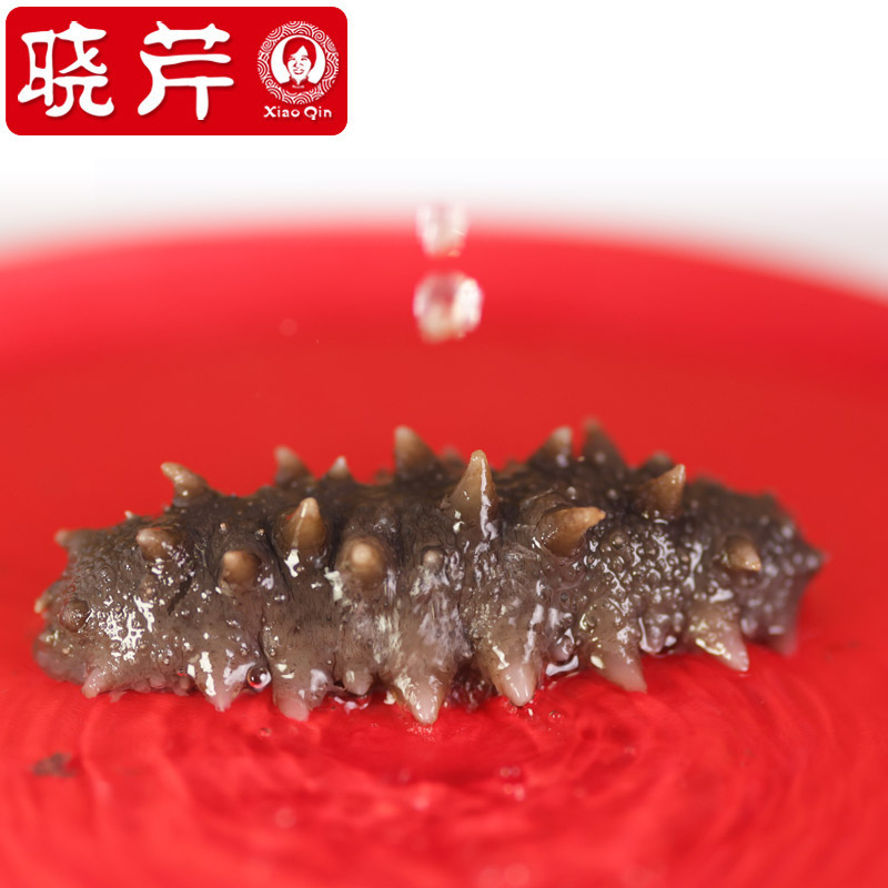 晓芹旗舰店【双11预售】晓芹12小时干海参免煮250克辽刺参大连海参无沙嘴2