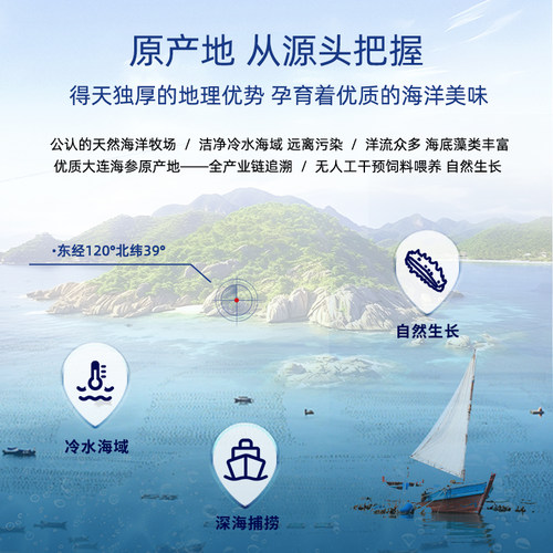 参海壹号 晓芹 即食海参 海参3斤礼盒 大连海刺参 个头大 - 图2