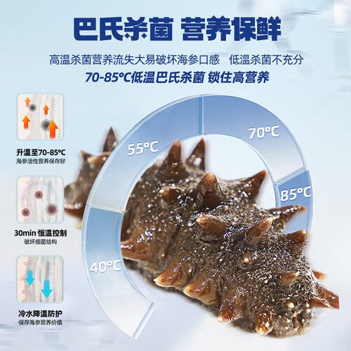 【温补九九81天】晓芹海参81只礼盒大连即食辽海刺参3240克送鲍鱼 - 图1