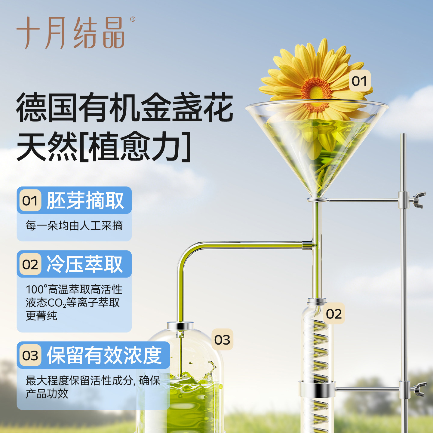 图 2
