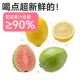 Lemon Republic Guava Passion Fruit Grass Lemon Liquid