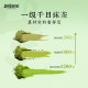 Extra thick bubbles matcha milk 500ml