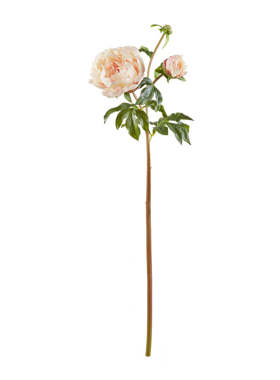 HarborHouse美式家居花艺仿真花假花轻奢高级带苞手感牡丹Peony