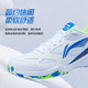 Offizielle authentische Badmintonschuhe von Li Ning für Männer und Frauen