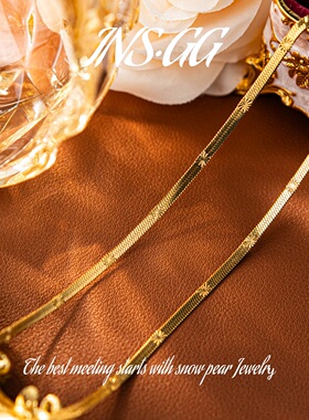 【INS · GG】2024钛钢新款百搭蛇骨链个性时尚项链AIX1373