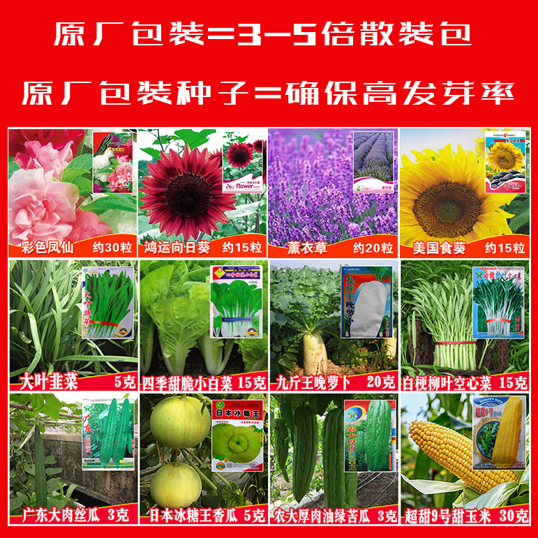 蔬菜种子四季阳台菜种子菠菜芥兰冰菜香菜萝卜芦笋乌塌菜葱籽大全-图1