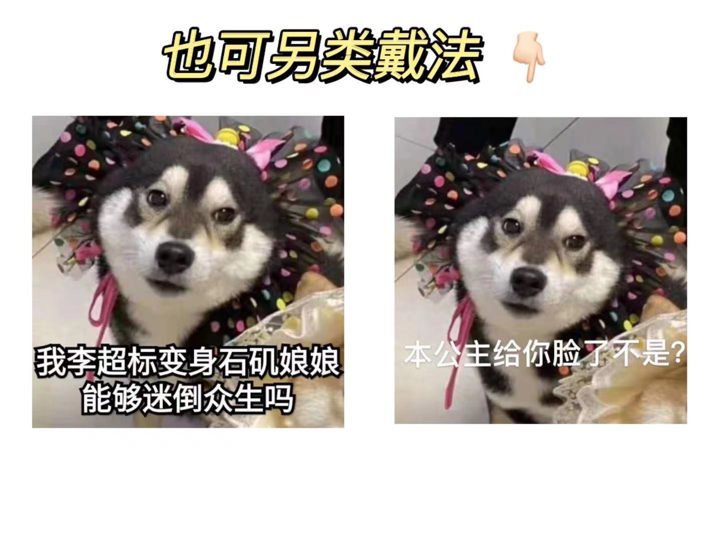 柴犬宠物花边围嘴彩色波点网纱围兜猫咪狗狗领结拍照道具 - 图2