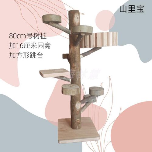 桉树枝跳台宠物 蜜袋鼯解闷攀爬玩具密袋鼠小飞鼠用品豪华桉树桩 - 图2