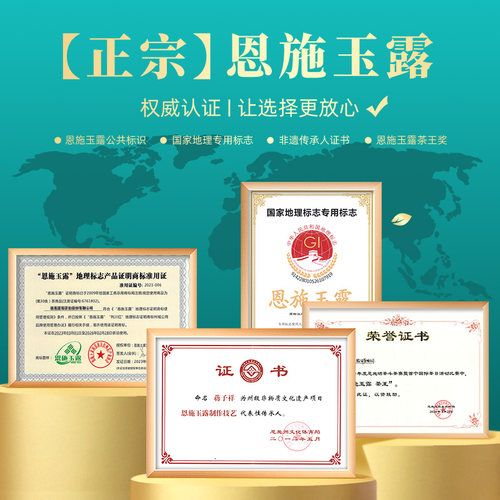 茶马世家恩施玉露特级明前头采春茶2026新茶正宗绿茶茶叶冷泡茶 - 图3