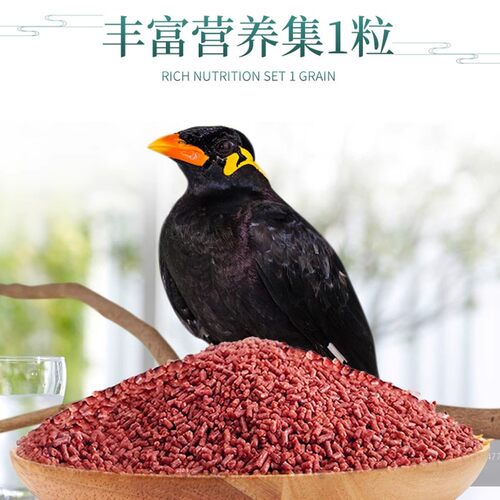 开元牌桶装精品鹩哥鸟食鸟饲料鹩哥幼成八哥鸟粮鹩哥食料全价鸟粮 - 图1