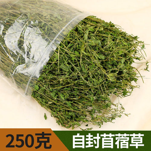 紫花苜蓿草兔粮饲料兔子食用草粮豚鼠龙猫荷兰猪幼兔草干草新牧草 - 图1