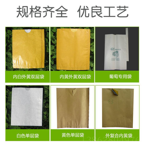 柑橘防晒袋桃子枇杷苹果柿子橘子桔子芒果套袋脐橙子育果袋遮光袋 - 图2
