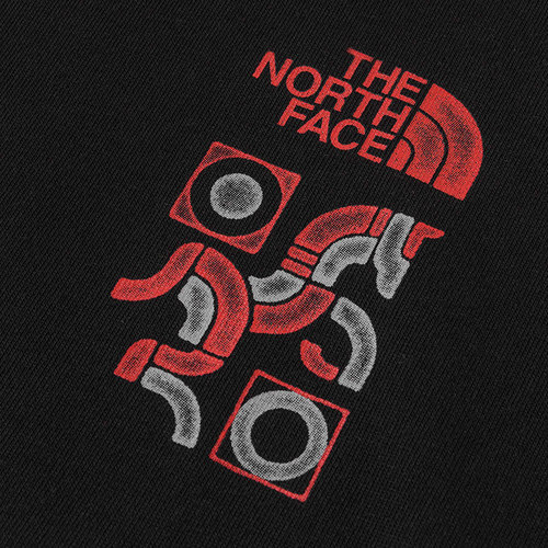 北面马年短袖T恤男女同款运动户外休闲透气新款TheNorthFace|8DQW - 图2