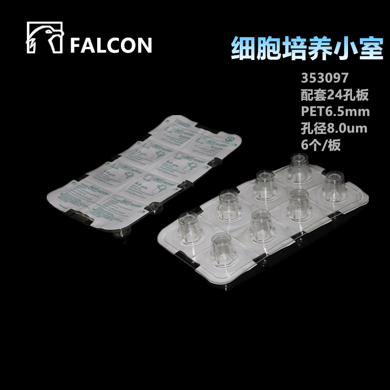 Falcon 353097 24孔板细胞培养池 细胞小室 细胞小池 半透明PET膜 - 图1