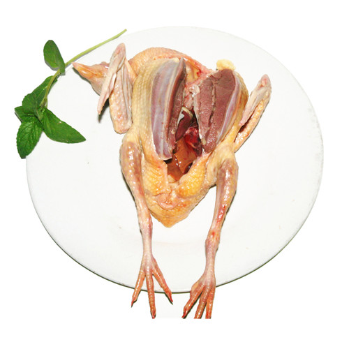 鲜鸽子肉散养乳鸽肉现杀鸽生鲜脆皮煲汤烤乳鸽孕妇两只起顺丰包邮 - 图3