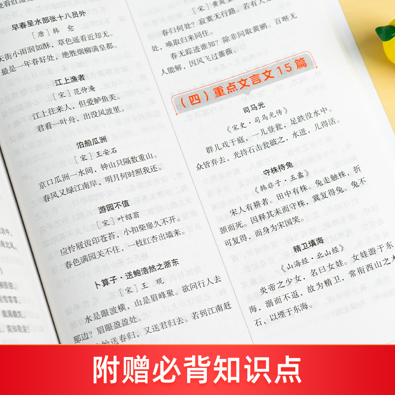 2025小升初衔接教材数学总复习必刷题人教版 小学六年级下册计算题强化专项训练真题卷2024寒假作业升六升七暑假衔接预习资料初中G - 图1