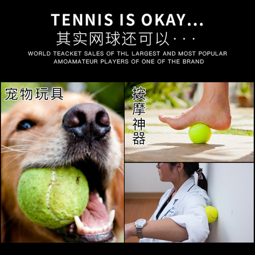 网球初学者带绳高弹性耐打训练单人带线网球弹力绳回弹比赛按摩球 - 图2