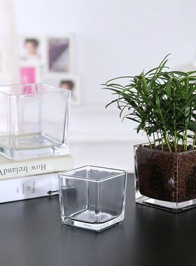 简约方形玻璃花瓶圆形水培器皿