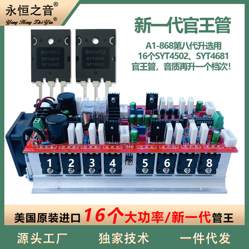 永恒之音A1第8代原装进口hifi发烧级大功率后级功放板音响成品板 - 图0