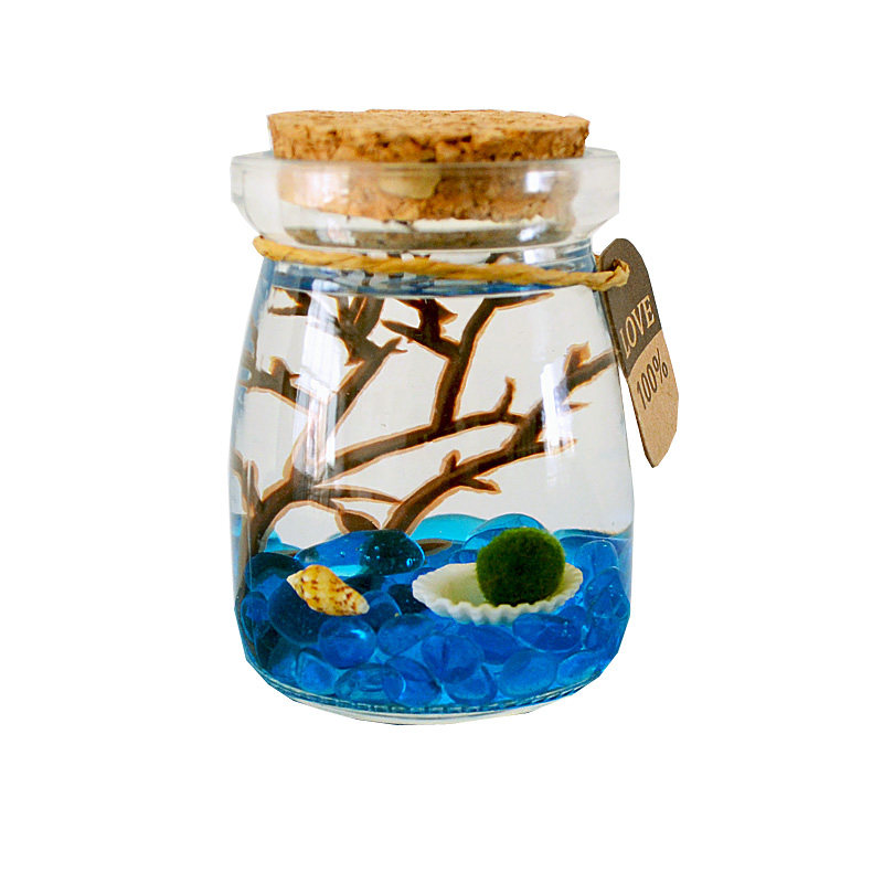 marimo微景观幸福海藻球藻生态瓶迷你桌面盆栽趣味水培植物小礼品,淘宝优惠券,粉丝福利购,淘宝优惠卷