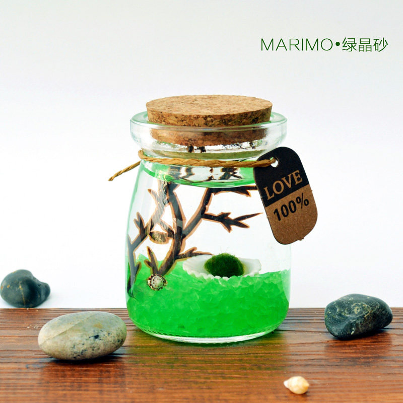 marimo微景观幸福海藻球藻生态瓶迷你桌面盆栽趣味水培植物小礼品,淘宝优惠券,粉丝福利购,淘宝优惠卷