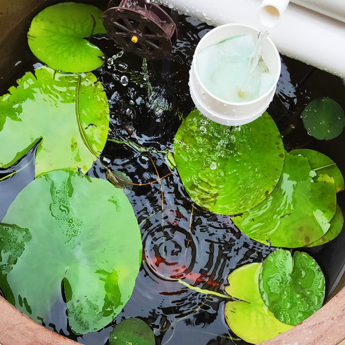 P2款鱼缸过滤器水循环流水器瓷缸石槽圆形瓦缸养鱼增氧小型过滤泵 - 图1