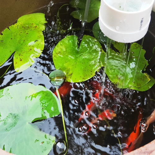 P3款鱼缸过滤器水循环家用瀑布式加氧低水位吸粪净化圆缸过滤设备 - 图1