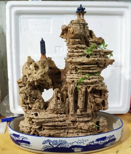 精品吸水石小假山盆景吸水石头花盆上水石鱼缸鱼池造景吸水石植物 - 图0