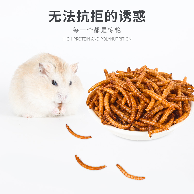 宠尚天 宠物零食面包虫干500ml*2仓鼠刺猬粮食用品食物饲料主粮 - 图2