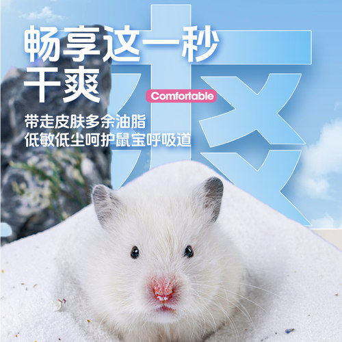 宠尚天仓鼠浴沙尿沙二合一浴室金丝熊厕所尿砂除臭专用品洗澡的盐 - 图0