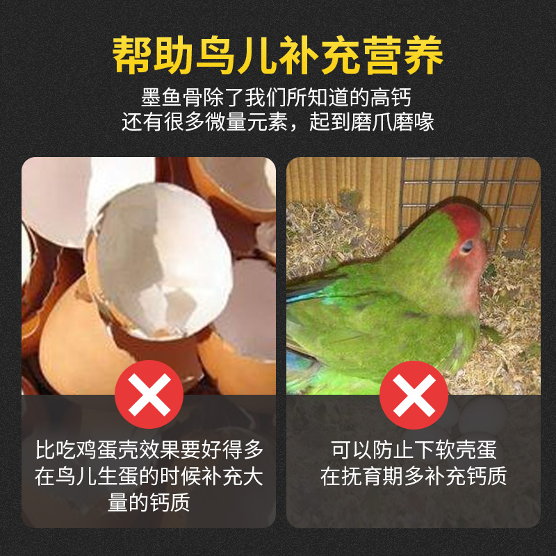 宠尚天鹦鹉墨鱼骨吊串挂串虎皮玄凤牡丹补钙磨牙零食玩具用品大全,淘宝优惠券,粉丝福利购,淘宝优惠卷