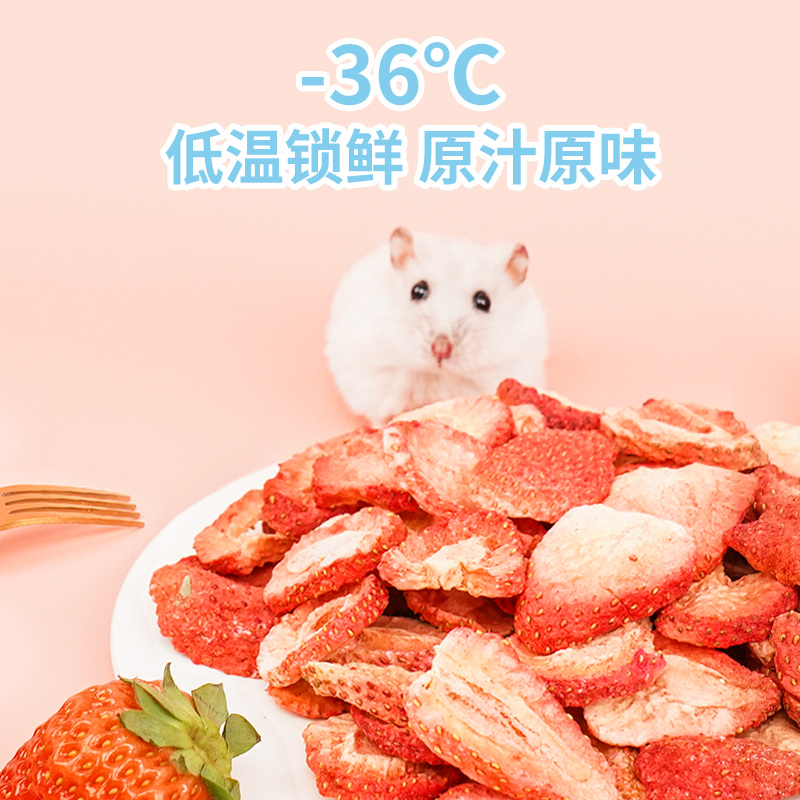 宠尚天宠物零食脆脆草莓干500ml仓鼠兔子龙猫荷兰猪饲料粮食食物-图2