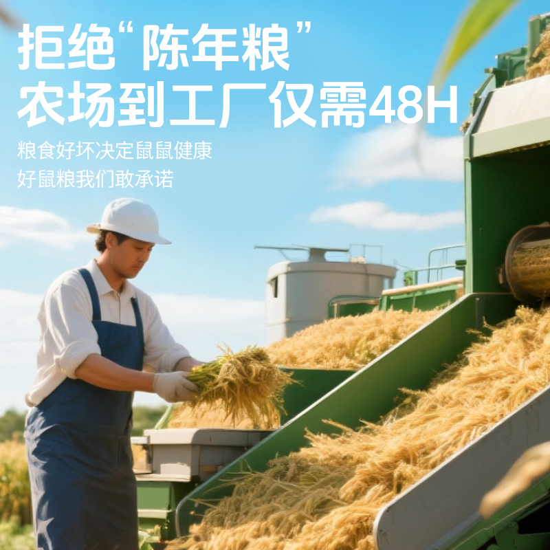 宠尚天仓鼠粮食主粮五谷营养金丝熊饲料花枝苍鼠用品大全自配食物 - 图2